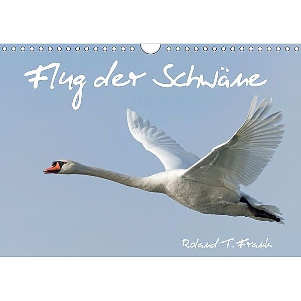 Flug der SchwäneAT-Version (Wandkalender 2017 DIN A4 quer), Roland T. Frank