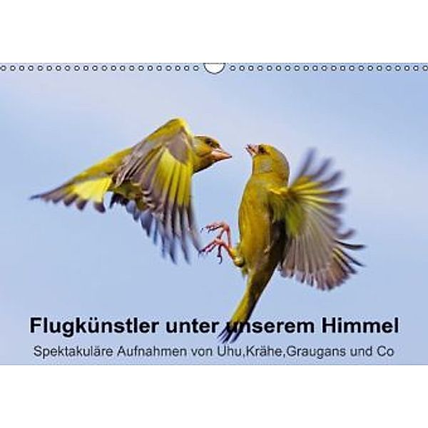 Flugkünstler unter unserem Himmel - Spektakuläre Aufnahmen von Uhu,Krähe,Graugans und Co (Wandkalender 2015 DIN A3 quer), Lutz Klapp