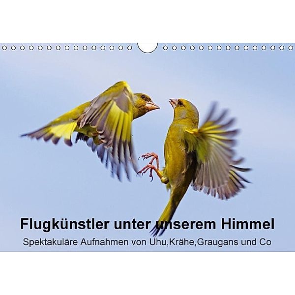 Flugkünstler unter unserem Himmel - Spektakuläre Aufnahmen von Uhu,Krähe,Graugans und Co (Wandkalender 2017 DIN A4 quer), Lutz Klapp