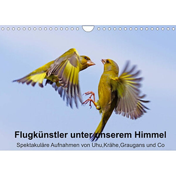 Flugkünstler unter unserem Himmel - Spektakuläre Aufnahmen von Uhu,Krähe,Graugans und Co (Wandkalender 2022 DIN A4 quer), Lutz Klapp