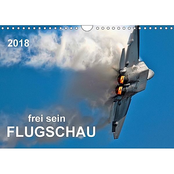 Flugschau - frei sein (Wandkalender 2018 DIN A4 quer), Peter Roder