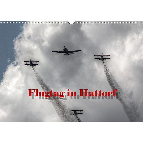 Flugtag in Hattorf (Wandkalender 2020 DIN A3 quer), Michael Weiß