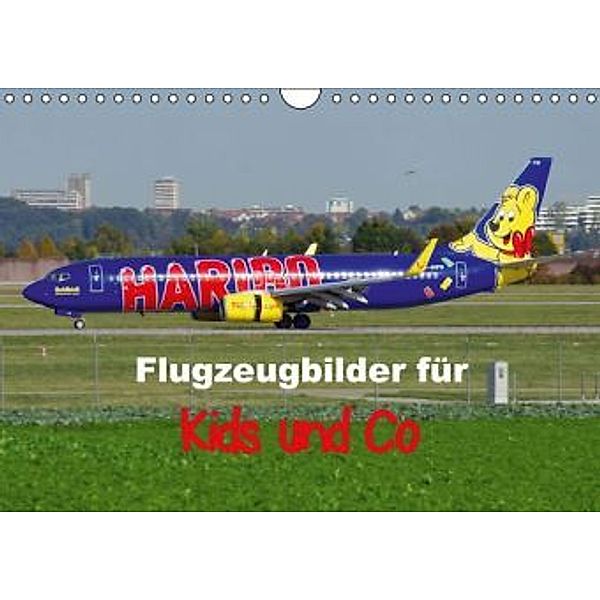 Flugzeugbilder für Kids und Co (Wandkalender 2015 DIN A4 quer), TomTom