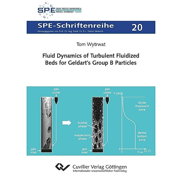 Fluid Dynamics of Turbulent Fluidized Beds for Geldart&#x2019;s Group B Particles