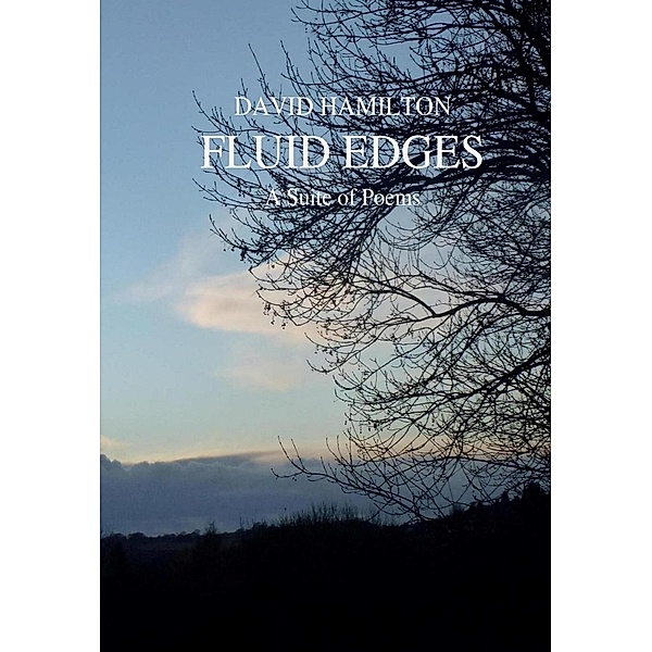 Fluid Edges, David Hamilton