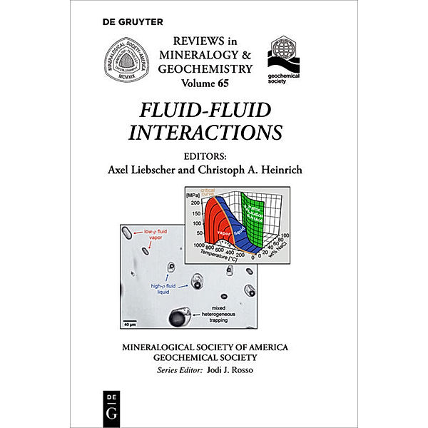 Fluid-Fluid Interactions