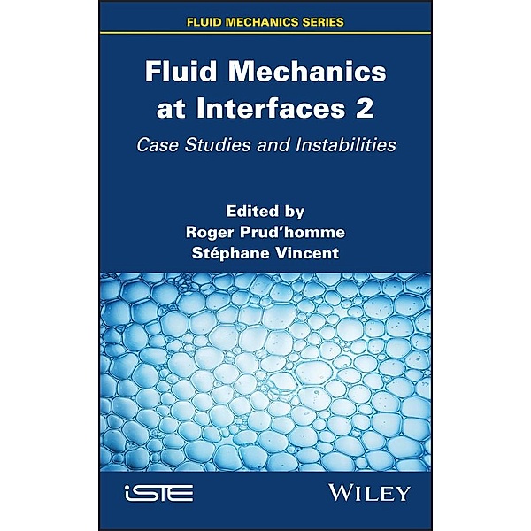 Fluid Mechanics at Interfaces 2