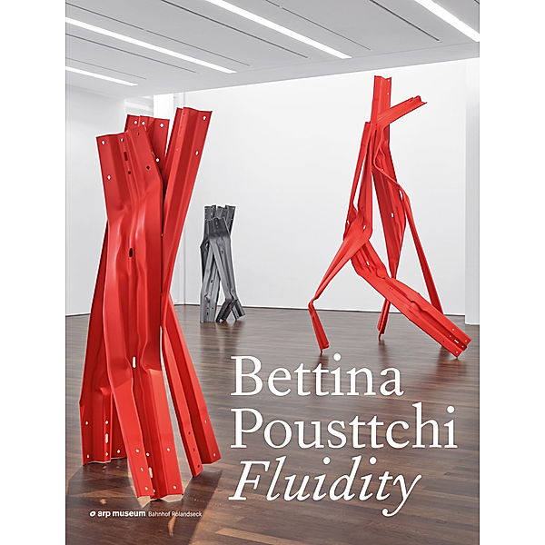 Fluidity, Arp Museum Bahnhof Rolandseck, Bettina Pousttchi