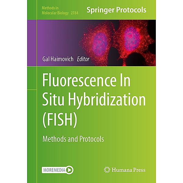 Fluorescence In Situ Hybridization (FISH)