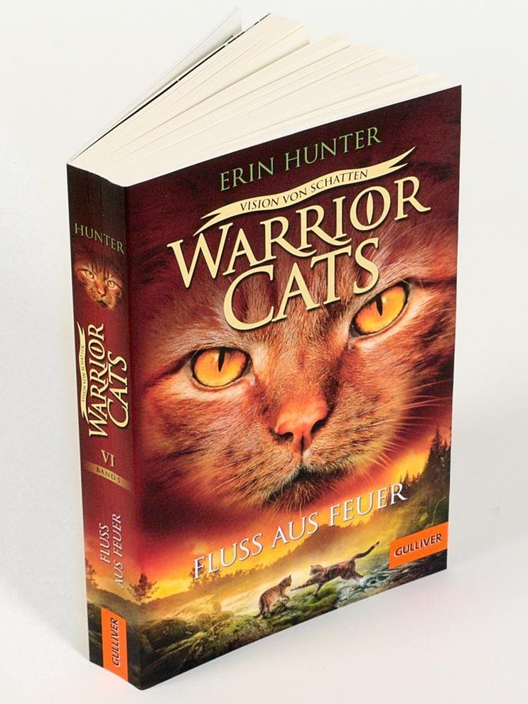 Fluss aus Feuer Warrior Cats Staffel 6 Bd.5 Buch versandkostenfrei