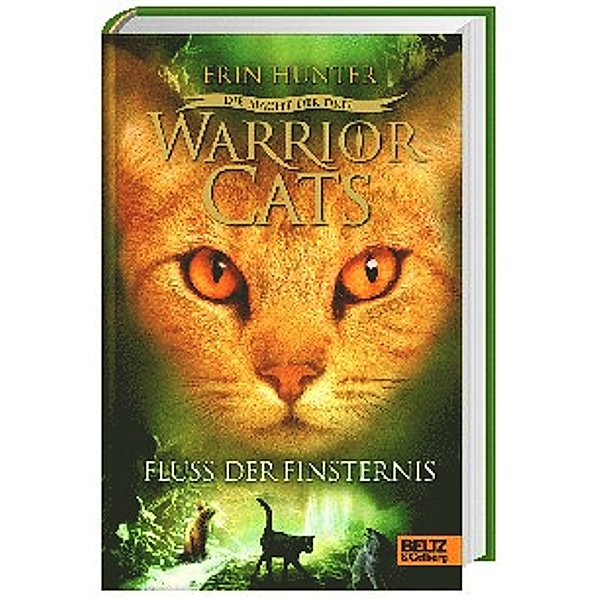 Fluss der Finsternis / Warrior Cats Staffel 3 Bd.2, Erin Hunter