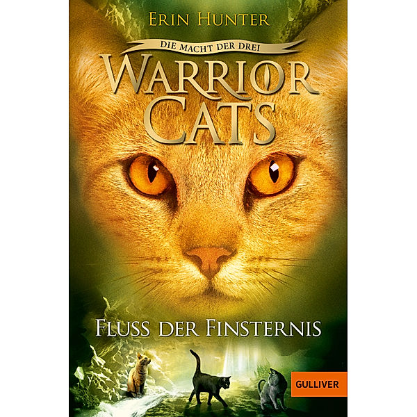 Fluss der Finsternis / Warrior Cats Staffel 3 Bd.2, Erin Hunter