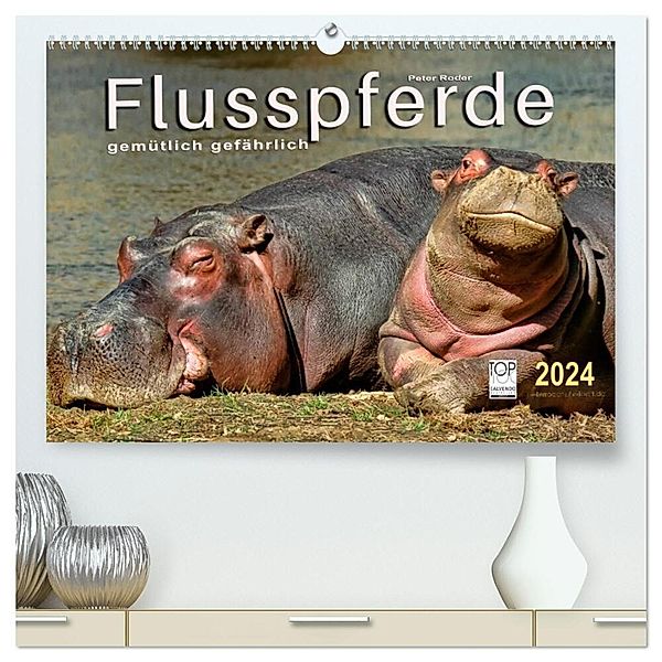 Flusspferde - gemütlich gefährlich (hochwertiger Premium Wandkalender 2024 DIN A2 quer), Kunstdruck in Hochglanz, Peter Roder