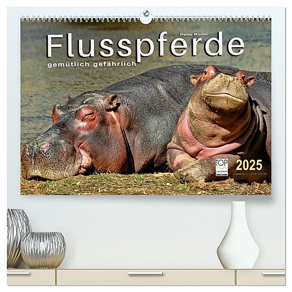 Flusspferde - gemütlich gefährlich (hochwertiger Premium Wandkalender 2025 DIN A2 quer), Kunstdruck in Hochglanz, Calvendo, Peter Roder