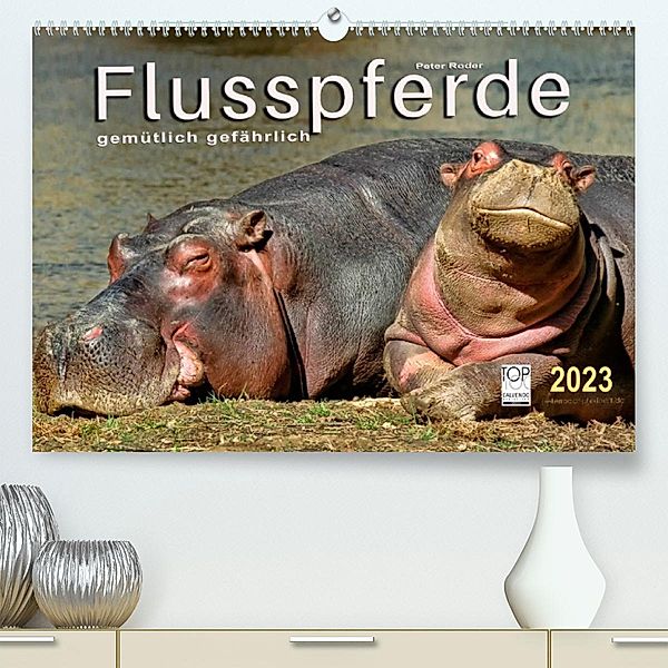 Flusspferde - gemütlich gefährlich (Premium, hochwertiger DIN A2 Wandkalender 2023, Kunstdruck in Hochglanz), Peter Roder
