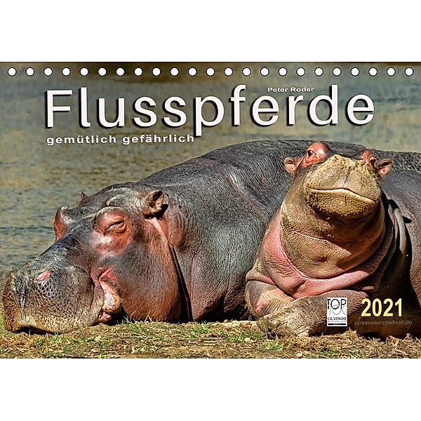 Flusspferde - gemütlich gefährlich (Tischkalender 2021 DIN A5 quer), Peter Roder