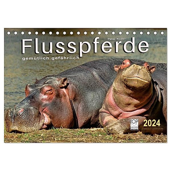 Flusspferde - gemütlich gefährlich (Tischkalender 2024 DIN A5 quer), CALVENDO Monatskalender, Peter Roder