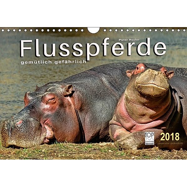 Flusspferde - gemütlich gefährlich (Wandkalender 2018 DIN A4 quer) Dieser erfolgreiche Kalender wurde dieses Jahr mit gl, Peter Roder