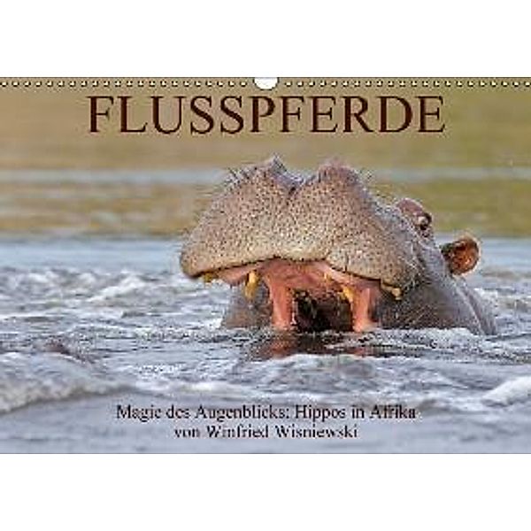 Flusspferde Magie des Augenblicks - Hippos in Afrika (Wandkalender 2015 DIN A3 quer), Winfried Wisniewski
