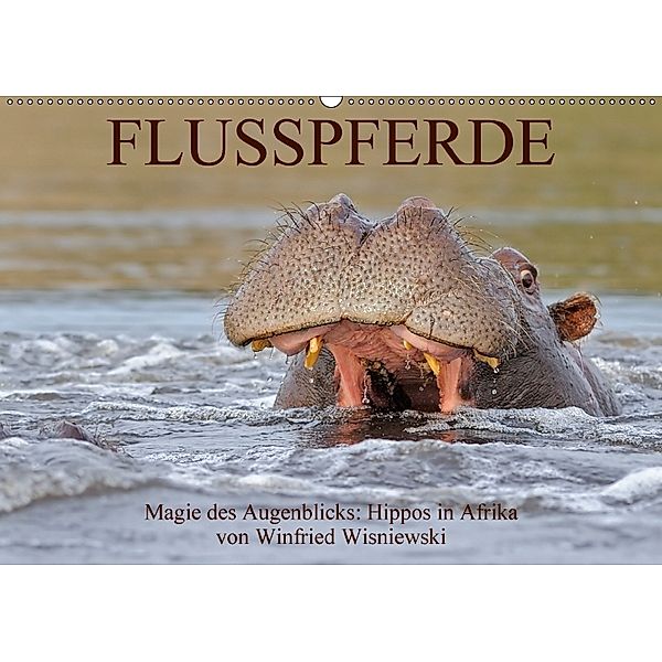Flusspferde Magie des Augenblicks - Hippos in Afrika (Wandkalender 2018 DIN A2 quer), Winfried Wisniewski