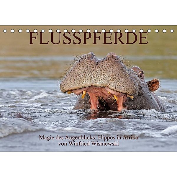 Flusspferde Magie des Augenblicks - Hippos in Afrika (Tischkalender 2023 DIN A5 quer), Winfried Wisniewski