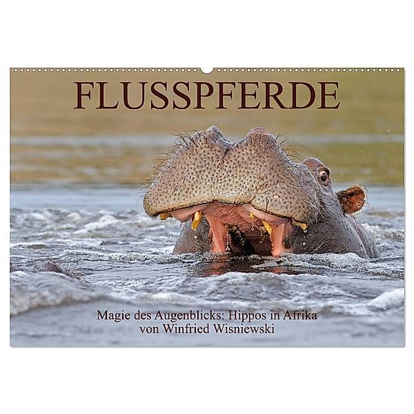 Flusspferde Magie des Augenblicks - Hippos in Afrika (Wandkalender 2024 DIN A2 quer), CALVENDO Monatskalender, Winfried Wisniewski