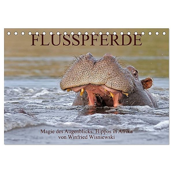 Flusspferde Magie des Augenblicks - Hippos in Afrika (Tischkalender 2024 DIN A5 quer), CALVENDO Monatskalender, Winfried Wisniewski