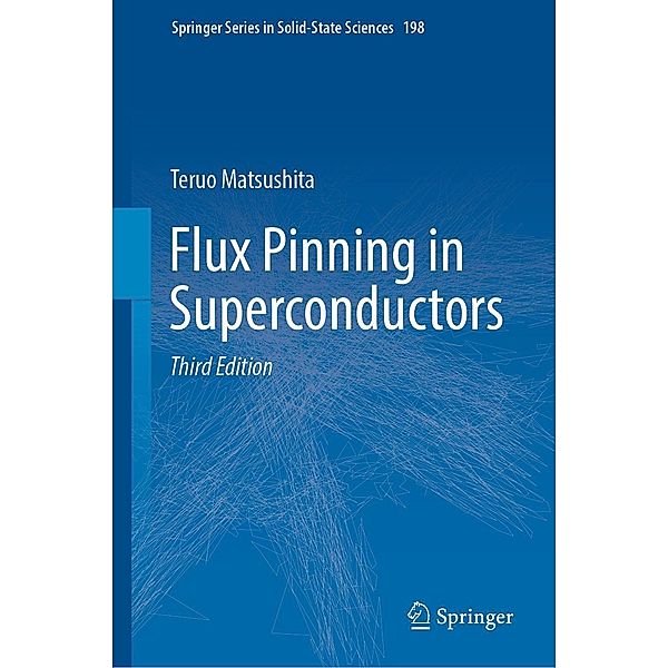 Flux Pinning in Superconductors / Springer Series in Solid-State Sciences Bd.198, Teruo Matsushita