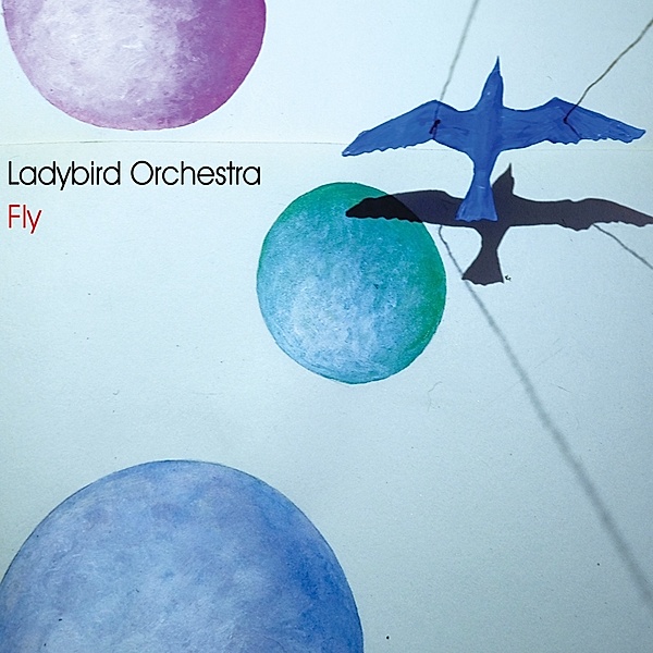 Fly, Ladybird Orchestra