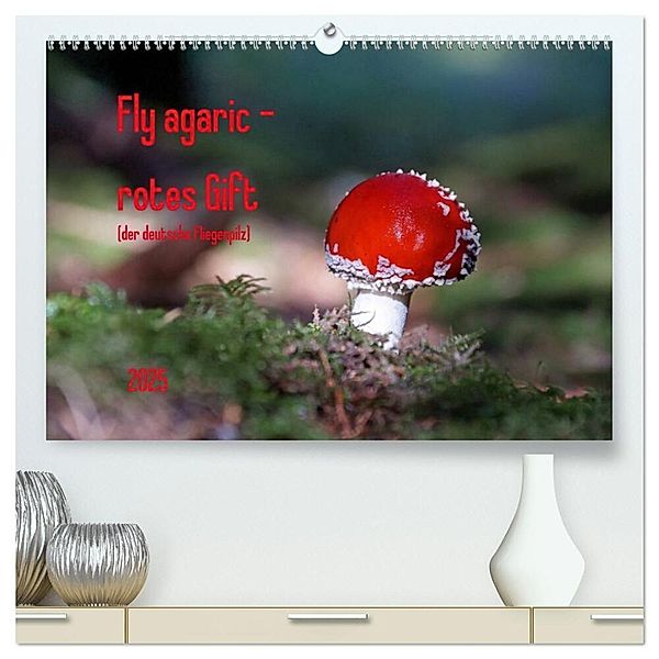 Fly agaric - rotes Gift (hochwertiger Premium Wandkalender 2025 DIN A2 quer), Kunstdruck in Hochglanz, Calvendo, Flori0