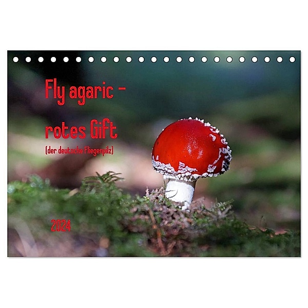 Fly agaric - rotes Gift (Tischkalender 2024 DIN A5 quer), CALVENDO Monatskalender, Flori0