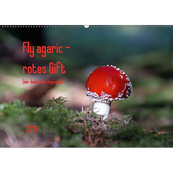 Fly agaric - rotes Gift (Wandkalender 2019 DIN A2 quer), Flori0