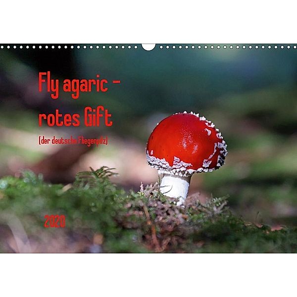 Fly agaric - rotes Gift (Wandkalender 2020 DIN A3 quer)