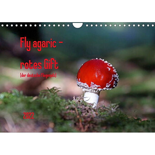 Fly agaric - rotes Gift (Wandkalender 2022 DIN A4 quer), Flori0