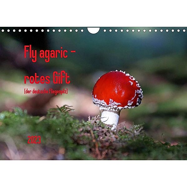 Fly agaric - rotes Gift (Wandkalender 2023 DIN A4 quer), Flori0