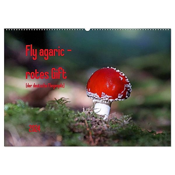 Fly agaric - rotes Gift (Wandkalender 2024 DIN A2 quer), CALVENDO Monatskalender, Flori0