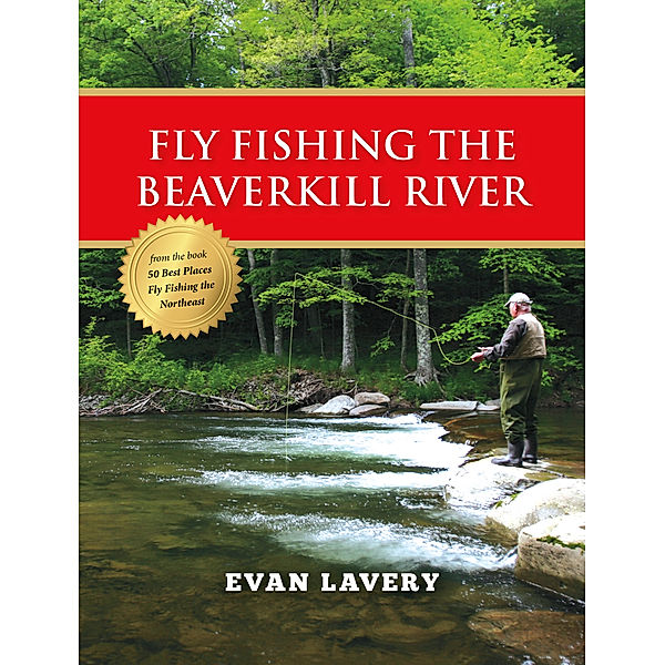 Fly Fishing the Beaverkill River, Evan Lavery