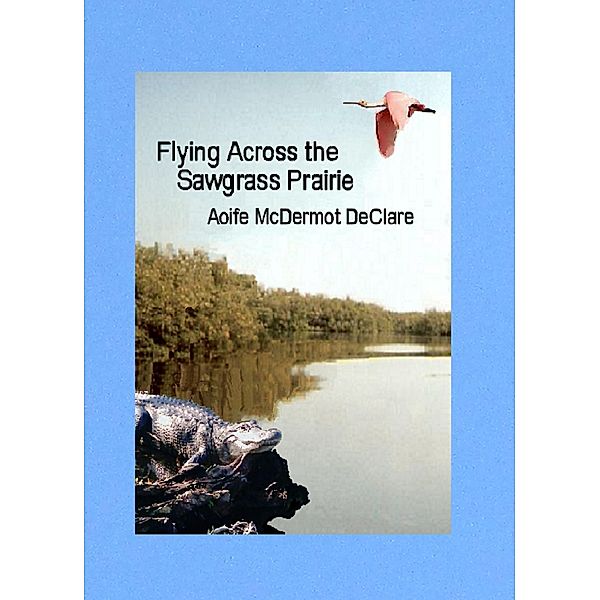 Flying Across the Sawgrass Prairie / Aoife McDermot DeClare, Aoife McDermot DeClare
