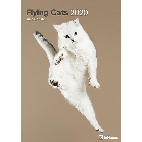 Flying Cats 2020