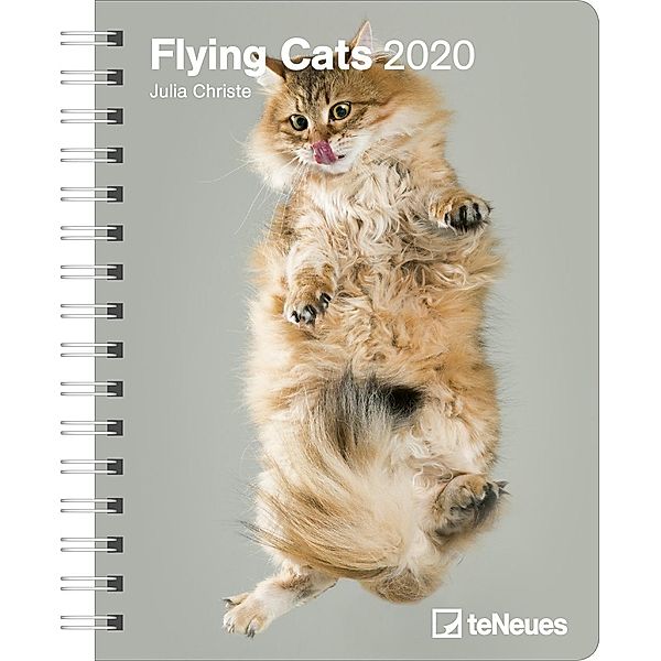 Flying Cats 2020 Diary