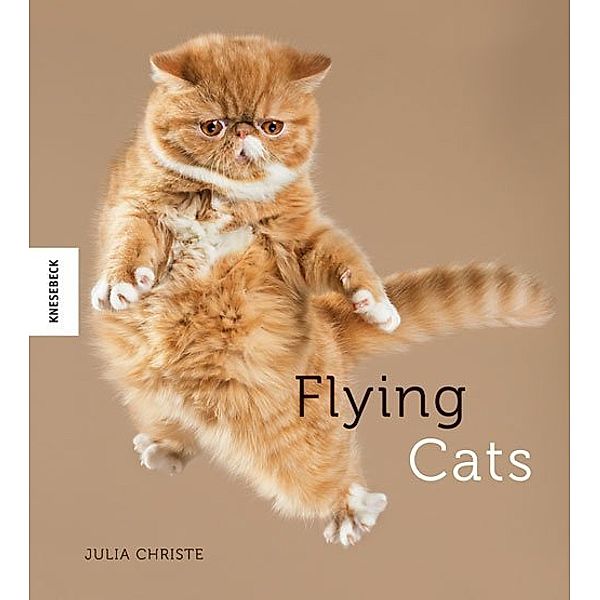 Flying Cats, Julia Christe