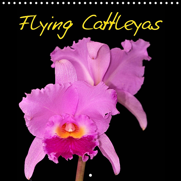 Flying Cattleyas (Wall Calendar 2023 300 × 300 mm Square), Clemens Stenner