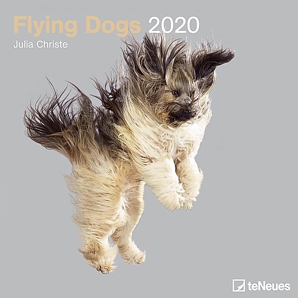 Flying Dogs 2020