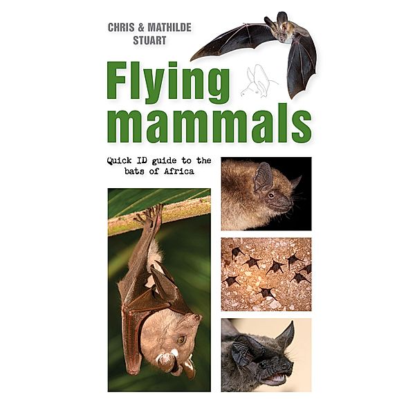 Flying Mammals / Struik Nature, Chris Stuart, Mathilde Stuart