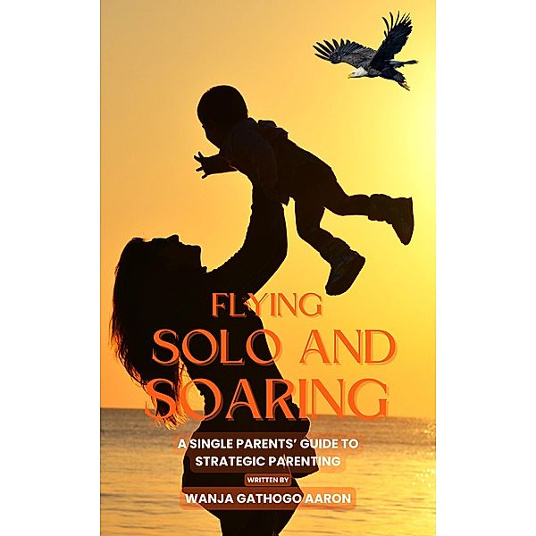 Flying  Solo And Soaring, Wanja Aaron