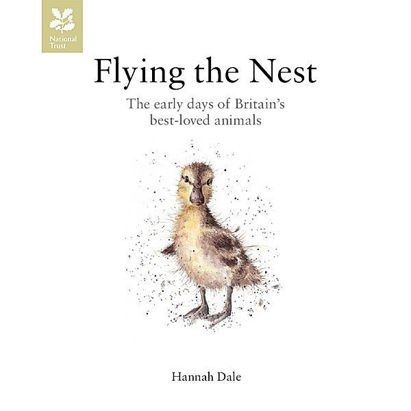 Flying the Nest, Hannah Dale