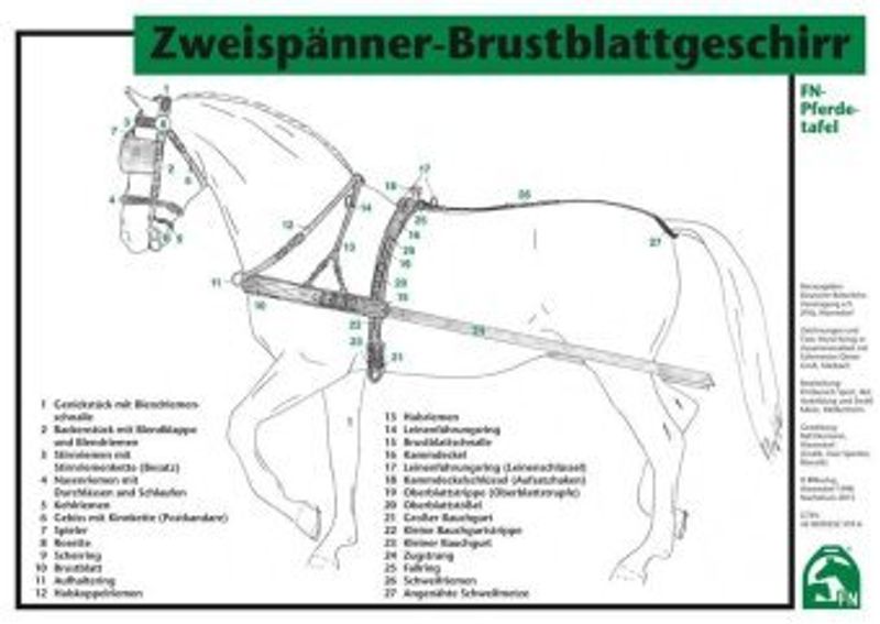 FN-Pferdetafeln: Zweispänner-Brustblattgeschirr Buch jetzt online bei  Weltbild.at bestellen