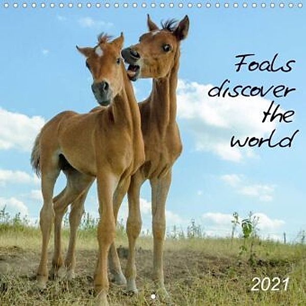 Foals discover the world (Wall Calendar 2021 300 × 300 mm Square), Kerstin Waurick