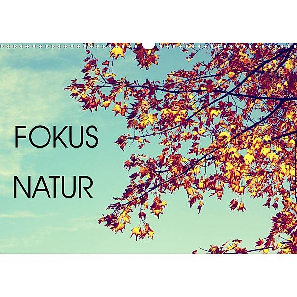 Focus Natur (Wandkalender 2023 DIN A3 quer), Mandy Neuhof