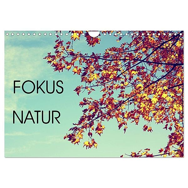 Focus Natur (Wandkalender 2024 DIN A4 quer), CALVENDO Monatskalender, Mandy Neuhof